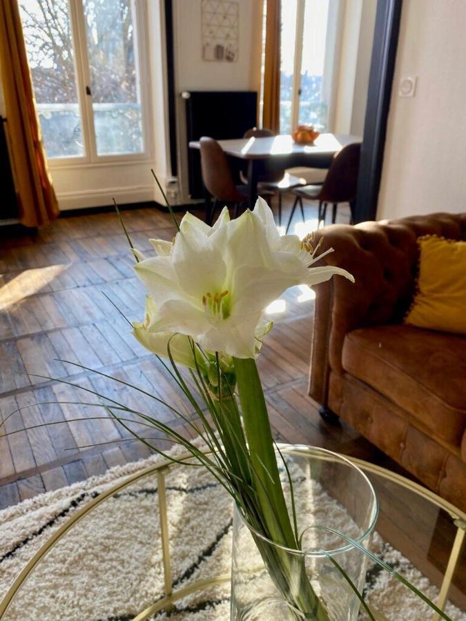 Le Square Vue Sur La Sauldre: Chateaux Et Beauval Apartment *